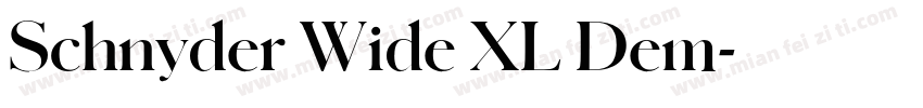 Schnyder Wide XL Dem字体转换